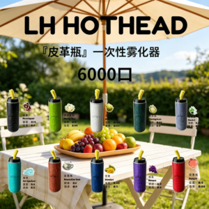 LH HOTHEAD皮革瓶6000口拋棄式電子煙可充電一次性